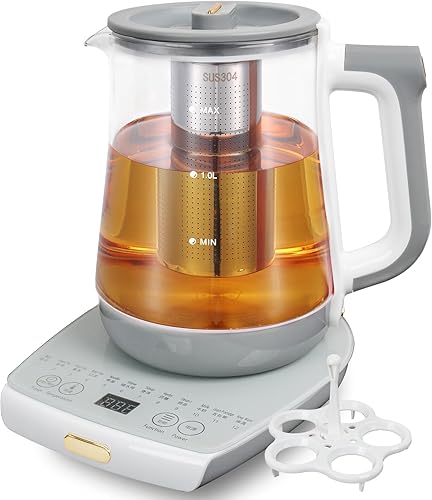 Olla de salud, oficina, hogar, hervidor eléctrico con infusor, control de temperatura, 12 procedimientos funcionales para frutas, té y café de