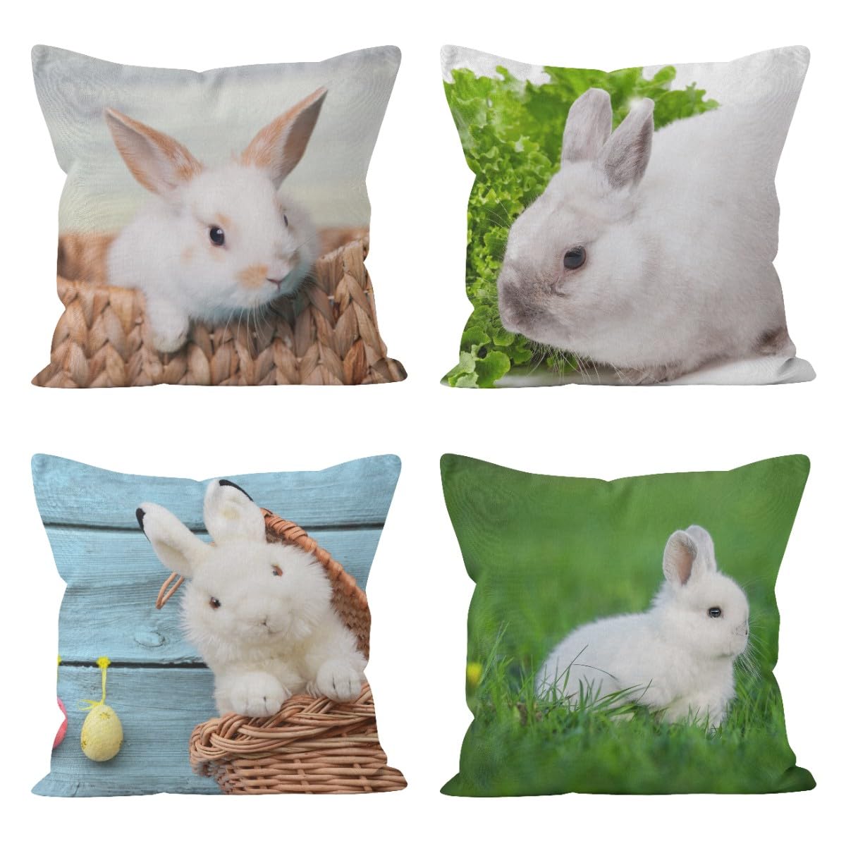 Housse de coussin lapin blanc et taie oreiller salon 50x50