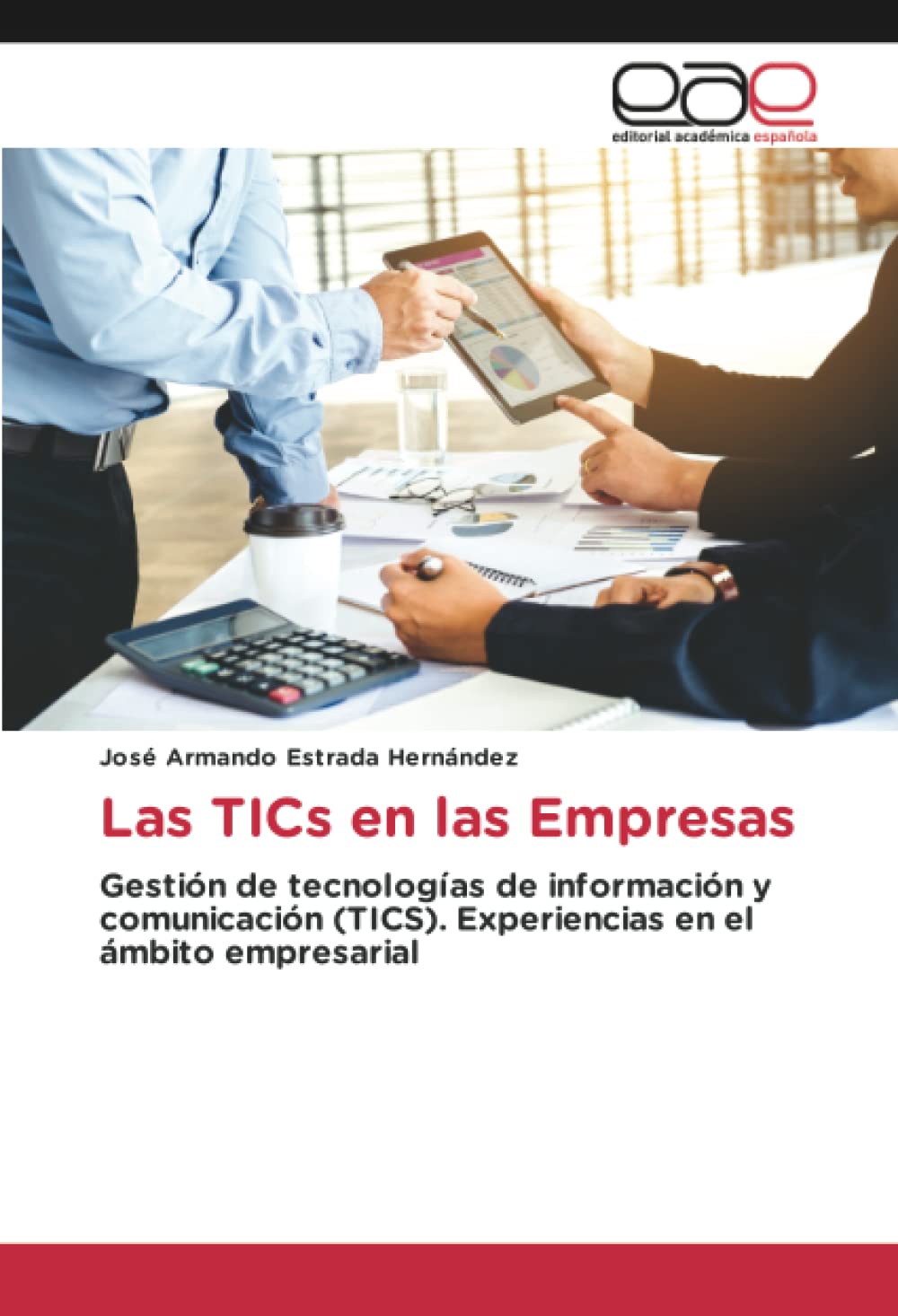 Las TICs en las Empresas: Gestión de tecnologías de información y comunicación (TICS). Experiencias en el ámbito empresarial