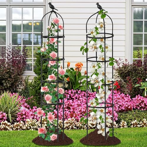 Enrejado para plantas trepadoras de 175 cm en soporte metálico ajustable para huerto 4