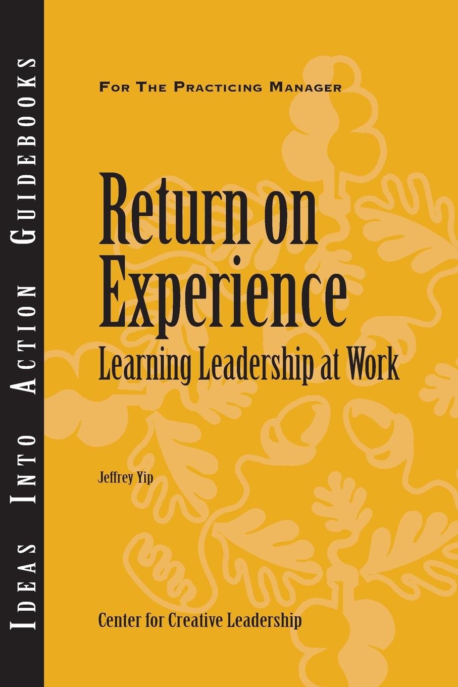 Return on Experience: Learning Leadership at Work (Ideas Into Action Guidebooks CCL; Books24x7. Businesspro)