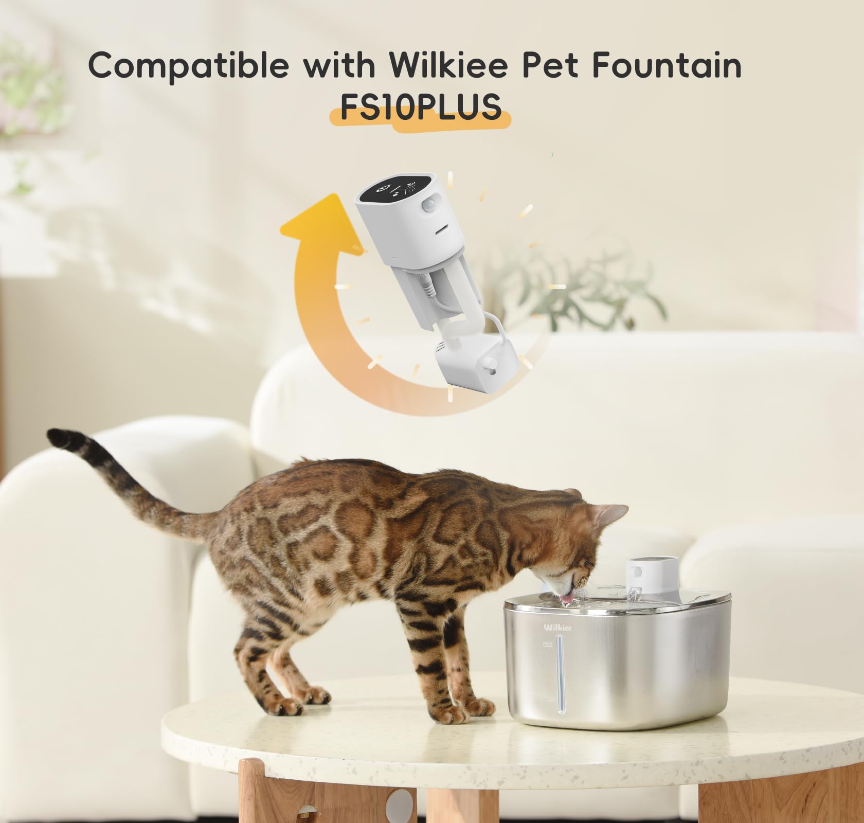 Moteur de fontaine à eau pour chat avec pompe pour FS10PLUS, moteur de rechange en acier inoxydable pour fontaine à chat de 4,1 L