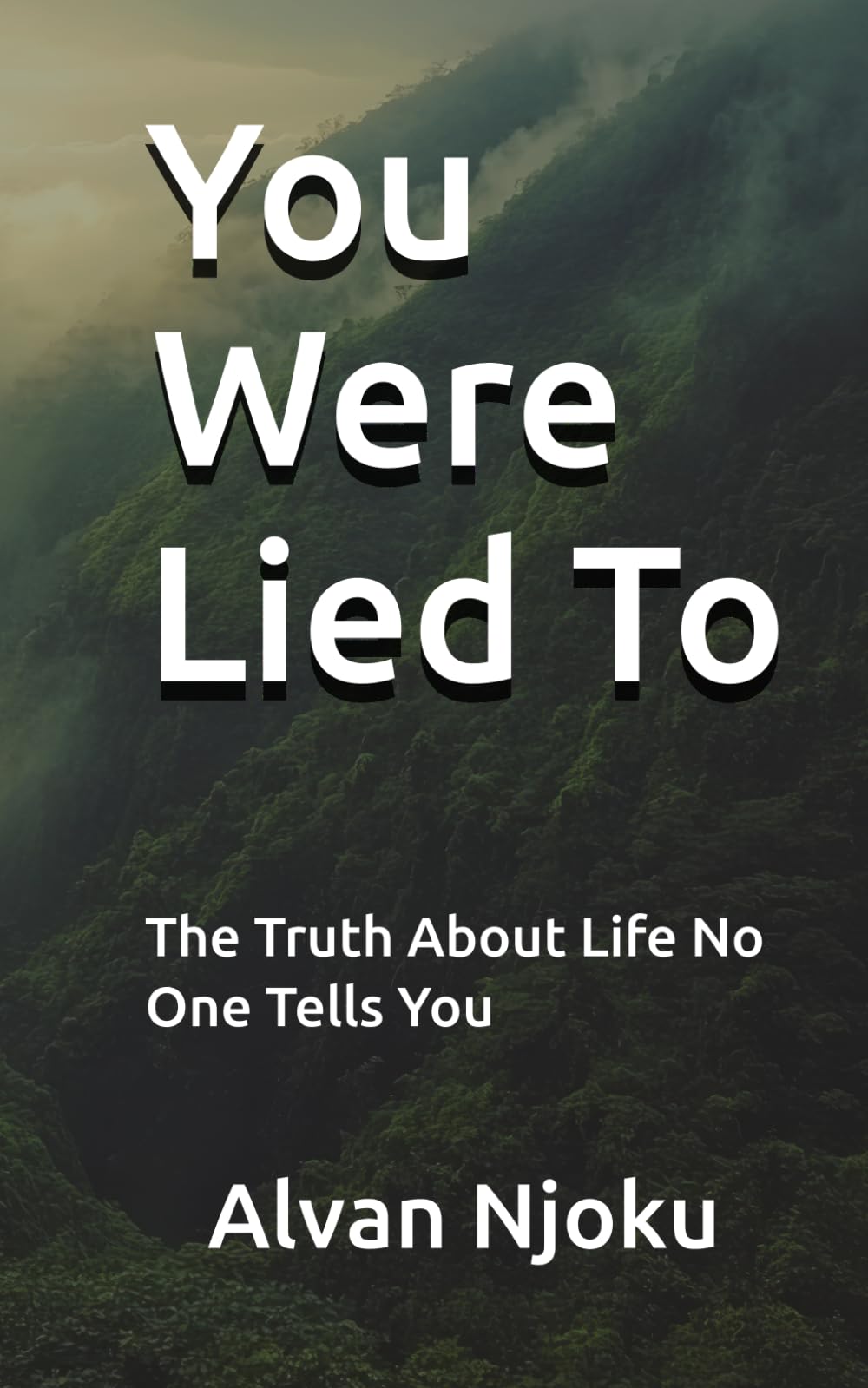 You Were Lied To: The Truth About Life No One Tells You