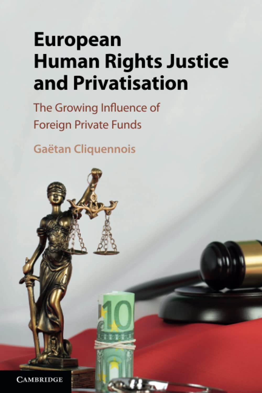 European Human Rights Justice and Privatisation: The Growing Influence of Foreign Private Funds
