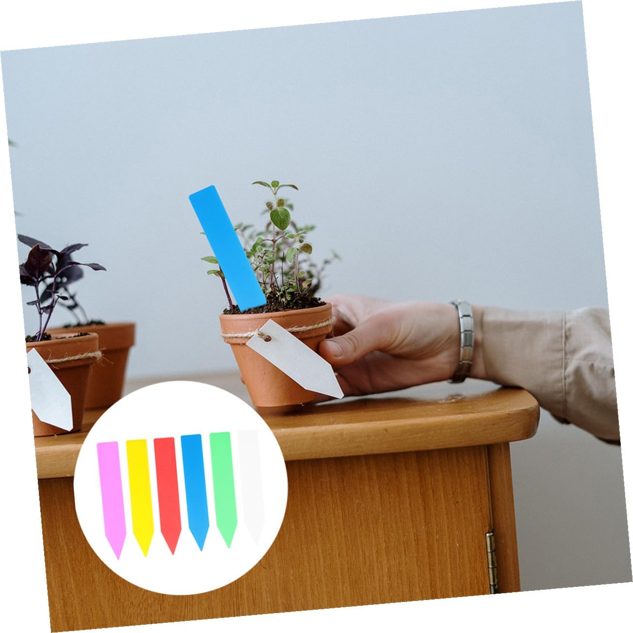 600Pcs Multi-Color Plant Labels Stakes Plastic Garden Markers for Flowers Vegetables Seedlings and Potted Plants Weather-Resistant Garden Tags for Outdoor Use