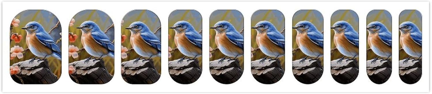 Nail Strips Bundle Full Wrap Long Lasting Nail Polish Strips Easy Application and Removal Salon Quality Self Adhesive Art Stickers for Women Gifts