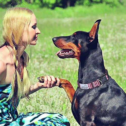 Amazon Petbaba ペットババ 犬用首輪 幾何学模様 おしゃれ 調整可能 弾力性 ソフト 首にやさしい 中型犬 大型犬 ドッグカラー ペット用品 M Petbaba ベーシック首輪 通販