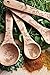 Talisman Designs Laser Etched Beechwood | Set of 4 | Woodland Design | Natural, Wooden Measuring Spoons Set| Cute & Functional Kitchen Tools