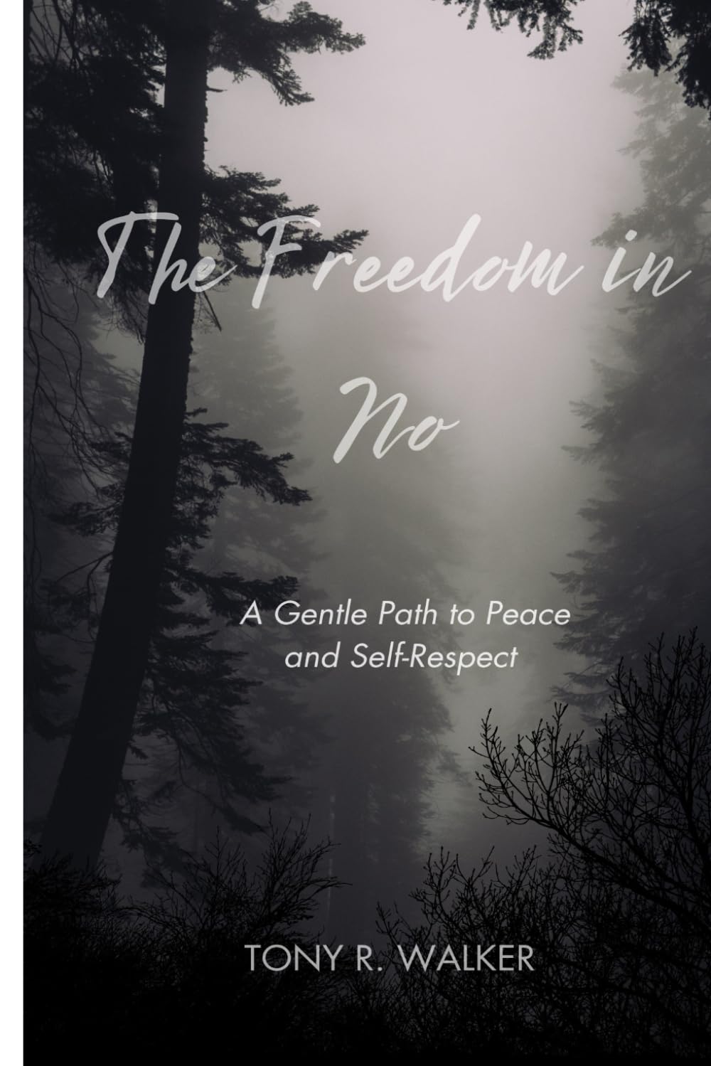 The Freedom In No: A Gentle Path to Peace and Self-Respect