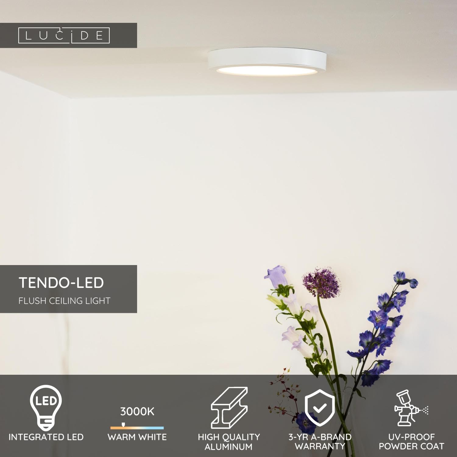 Kit LED De 12 Puntos, 5 W, 3000 K, Integrado, Blanco Cálido