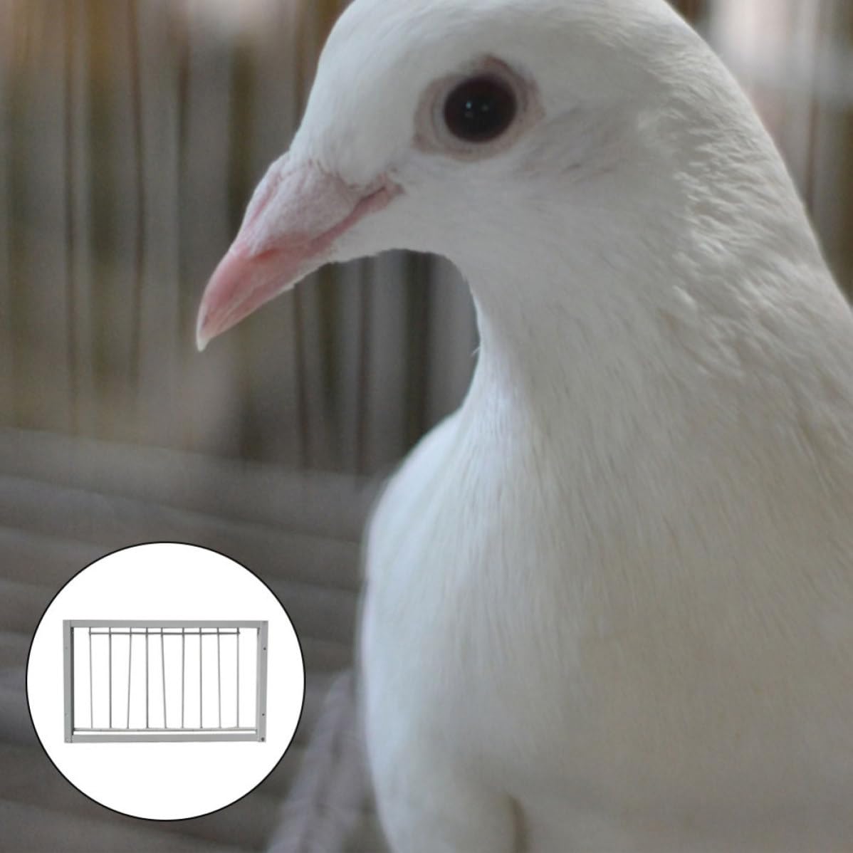 Puerta de Entrada de Color Blanco para Palomares de Hierro Reforzado Diseño Encriptado, 2 Piezas para Jaulas de Palomas y Aves Pequeñas