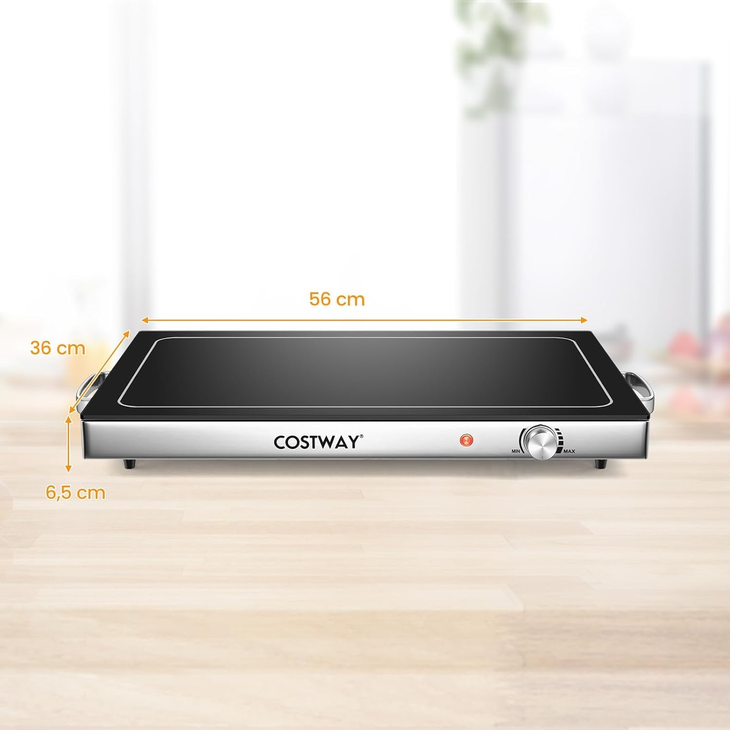 FANTASK Piastra riscaldante elettrica da 50 ℃ a 120 ℃ con regolatore di temperatura, riscaldatore a buffet in acciaio inox con funzione piastra riscaldante