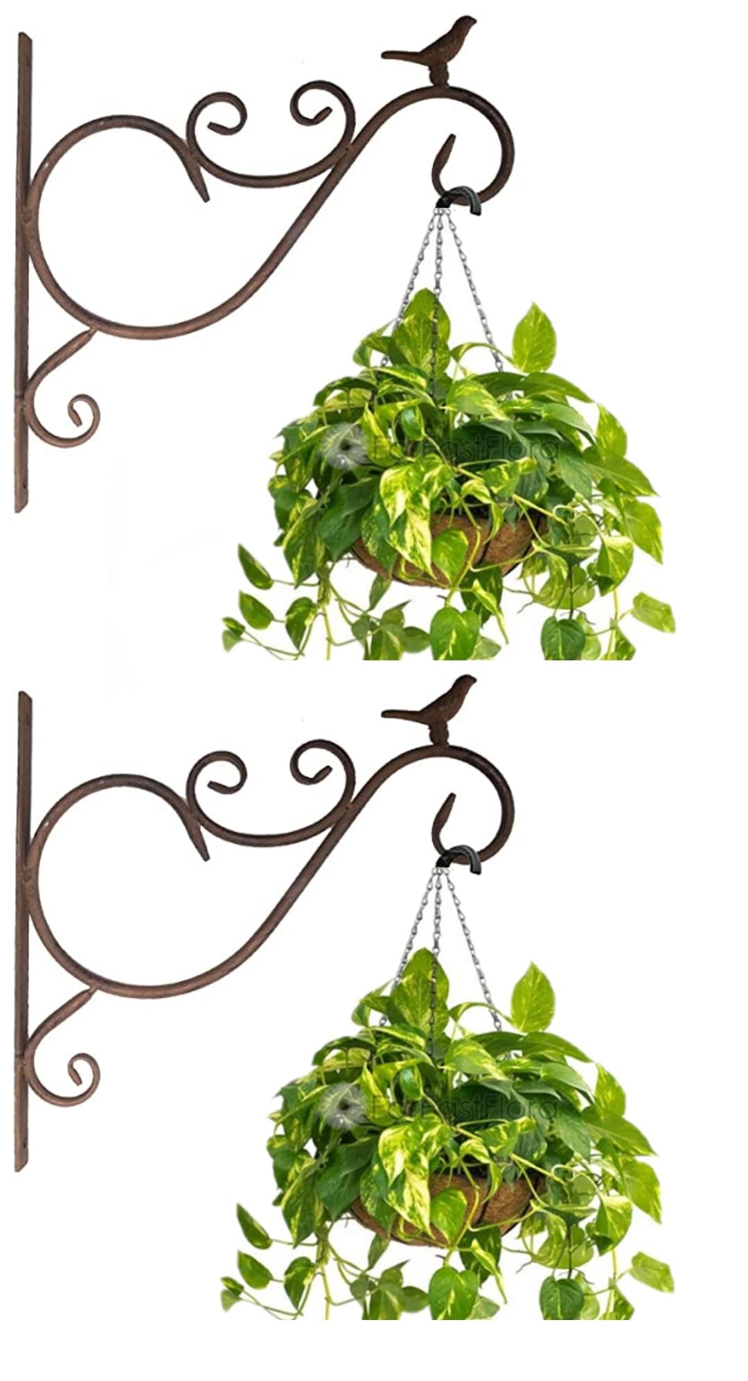 Neumark Wall Bracket Hook for Hanging Basket no Flower Pots (Black) Pack of 2 (B07WZNVLH8) Amazon Price History, Amazon Price Tracker
