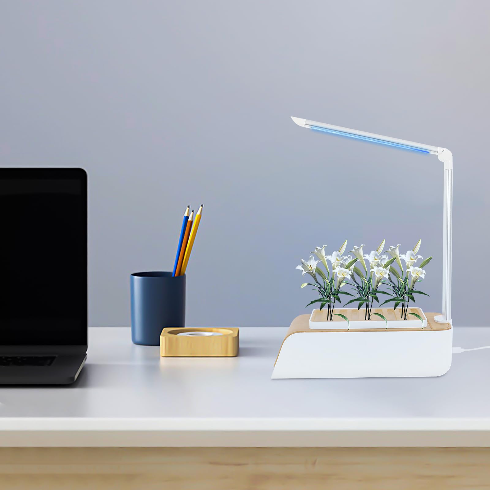 Hydroponiczny system uprawy do ogrodu ziołowego z oświetleniem LED do uprawy roślin, automatyczny timer, zbiornik na wodę 1 l, regulowany kąt, Smart Garden do kuchni i domu