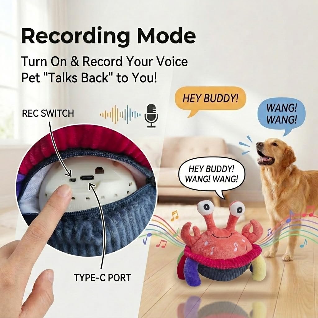 Jouet interactif pour chien Crabe