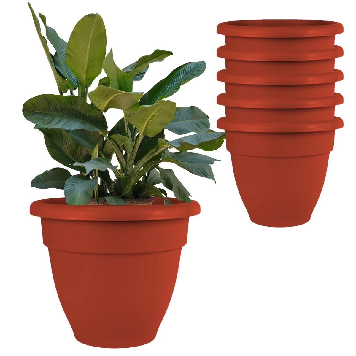 See full amazon price history chart for IMAGINEA 18 Inch pots for Plants, Tree, and Flower Pots Big Size Gamla Use for Outdoor and Indoor Room Large Planters Plastic Pots (Pack of 6) IMAGINEA 18 Inch pots for Plants, Tree, and Flower Pots Big Size Gamla Use for Outdoor and Indoor Room Large Planters Plastic Pots (Pack of 6) (B0DC9R792K) Amazon Price History, Amazon Price Tracker