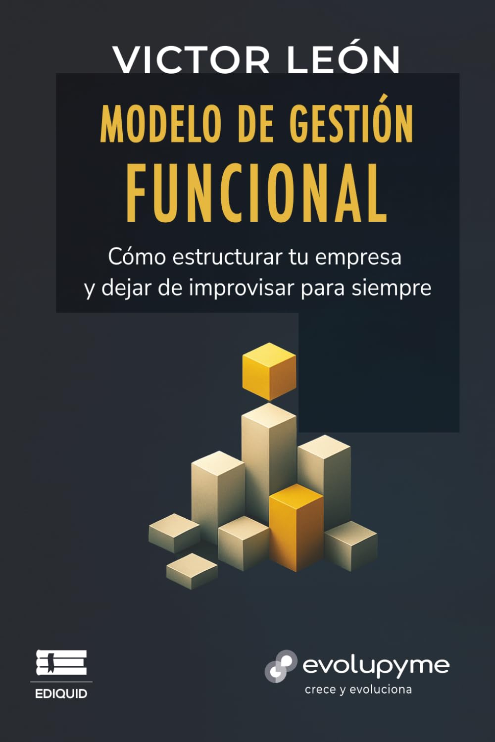 Modelo de gestión funcional: Cómo estructurar tu empresa y dejar de improvisar para siempre
