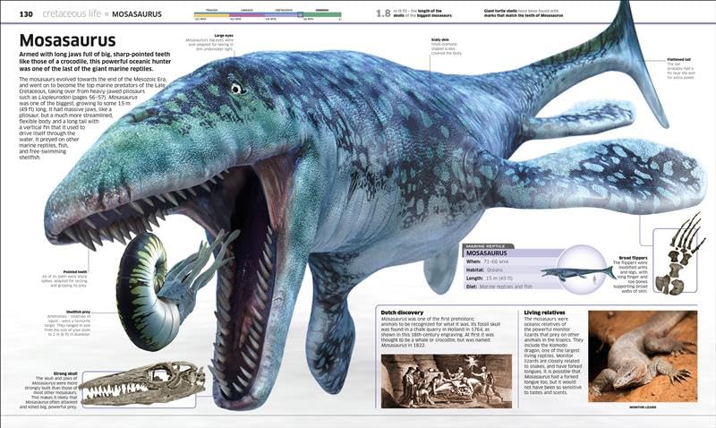 Image of Knowledge Encyclopedia Dinosaur! An Illustrated Encyclopedia for Kids on Dinosaurs Extinction, Fossils, Prehistoric Life & Evolution