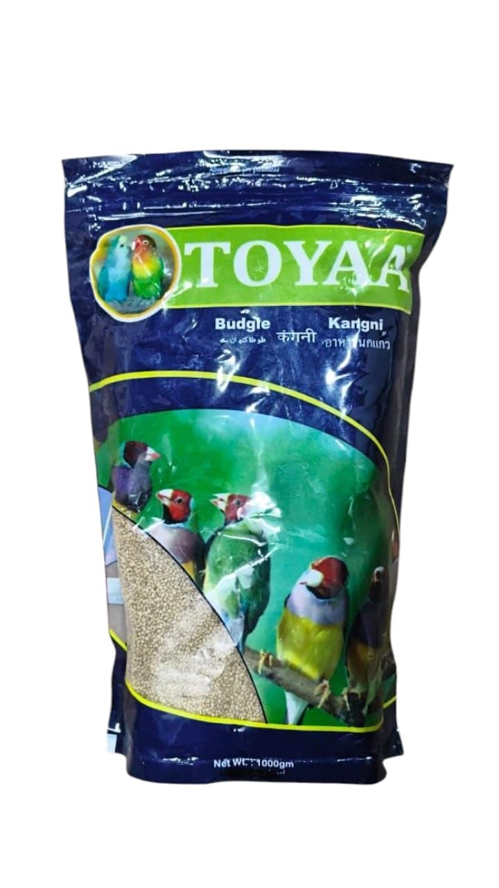Toyaa Budgie Bird Food 1kg Kangni Healthy & Natural Premium Mix Seeds for All Birds-image-3