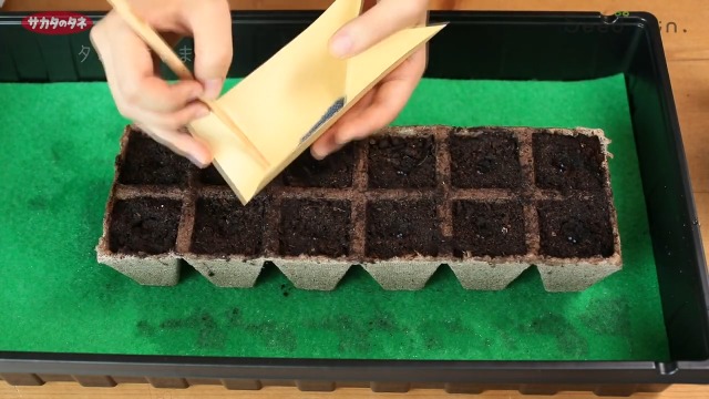 ジフィーストリップ　角型 5cmスリット入12連結×330入 （3960個入） Amazon.co.jp: サカタのタネ 鉢 ジフィーストリップ 角型5cm12個