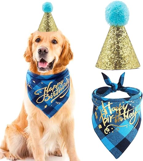 amazon dog birthday hat