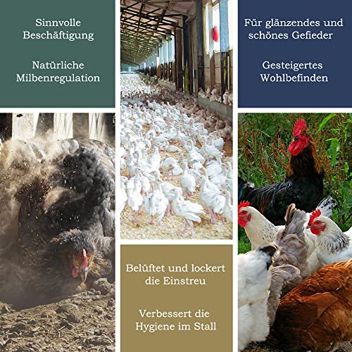 Petigi Urgesteinsmehl 5 kg Geflügeleinstreu Staubbad Sandbad Steinmehl Zeolith für Hühner Wachteln Sandbaden Diabas… – Bild 6