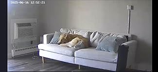 Review Image by Claudia Lugones Claudia Lugones