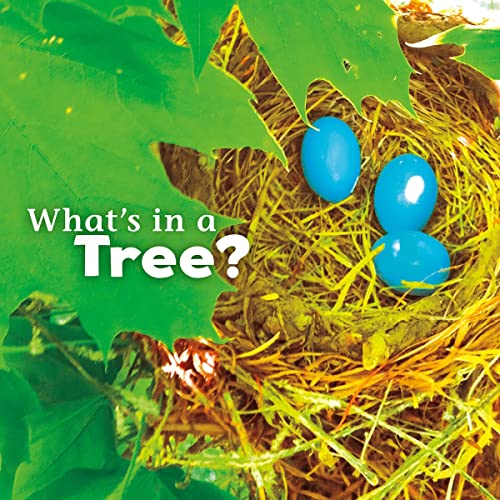 What's in a Tree? by Martha E. H. Rustad episode artwork
