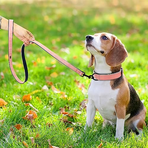 Image of Didog PU Leather Dog Collar and Leash Set, Soft Padded, Pink, Neck 11-14 inch