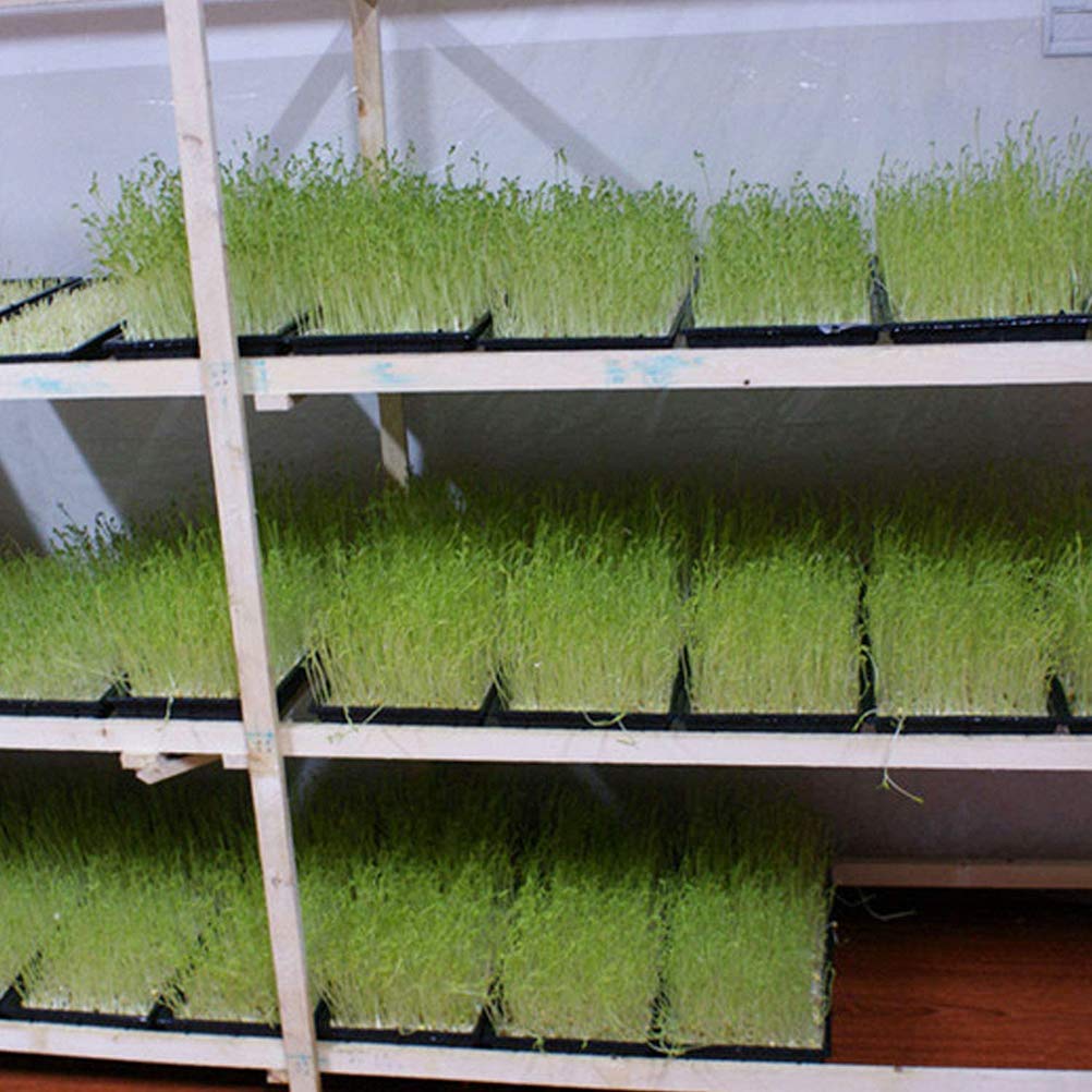 Bandejas de cultivo de plantas, 2 bandejas de inicio de propagación para plantas con agujeros de drenaje, parte inferior de malla para germinación de plantas