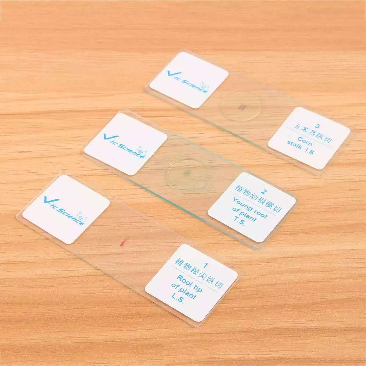 100 Unids Microscopio Portaobjetos De Vidrio Muestra De Vidrio Preparado Ciencia Básica Muestra De Cubierta Biológica Slips Caja De Almacenamiento De Madera Portátil