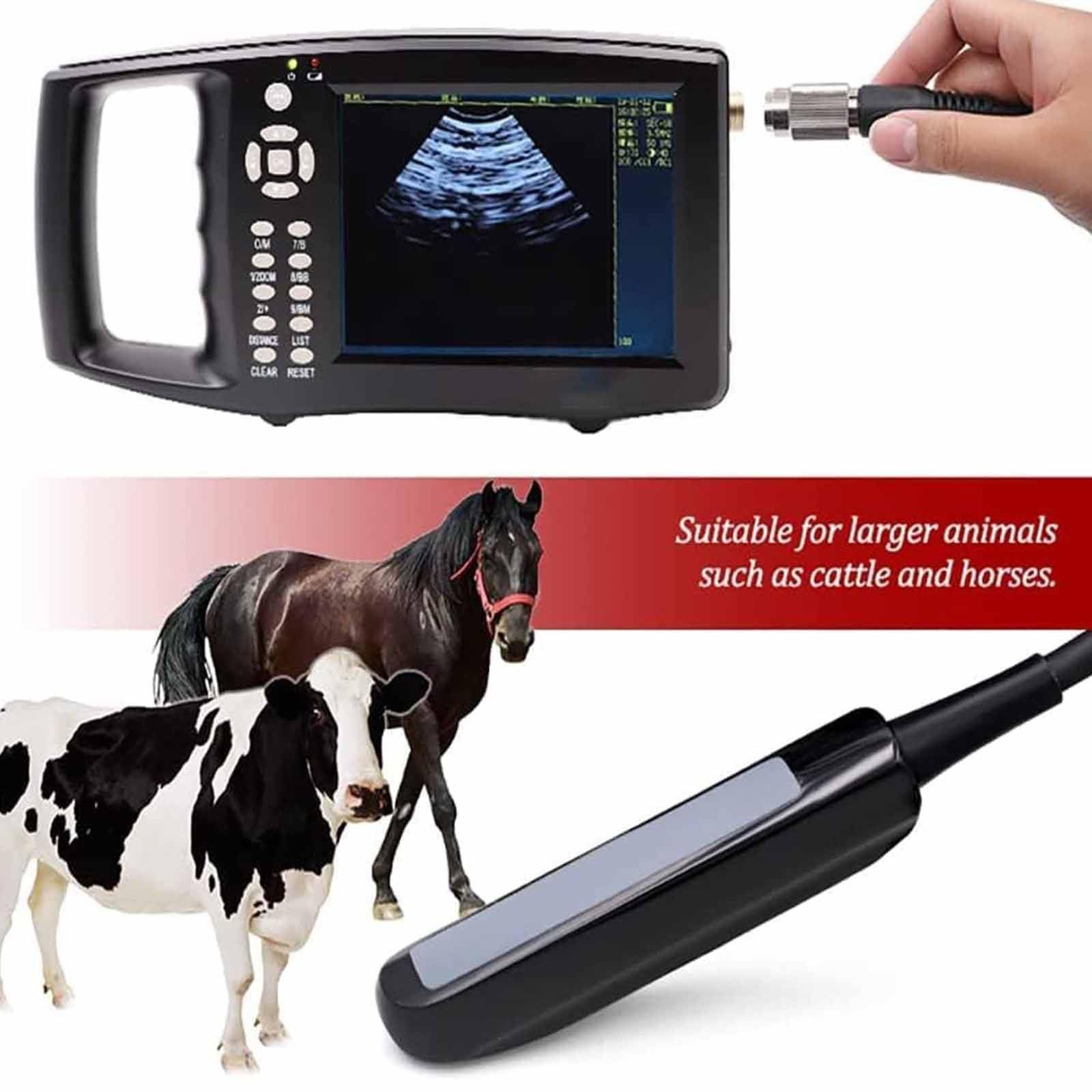Kit D'échographie Vétérinaire,échographe sans Fil,Scanner à Ultrasons Vétérinaire Rechargeable pour La Grossesse,avec Sonde 6,5 MHz pour Les Grands Animaux comme Bovins,Chevaux,Vaches