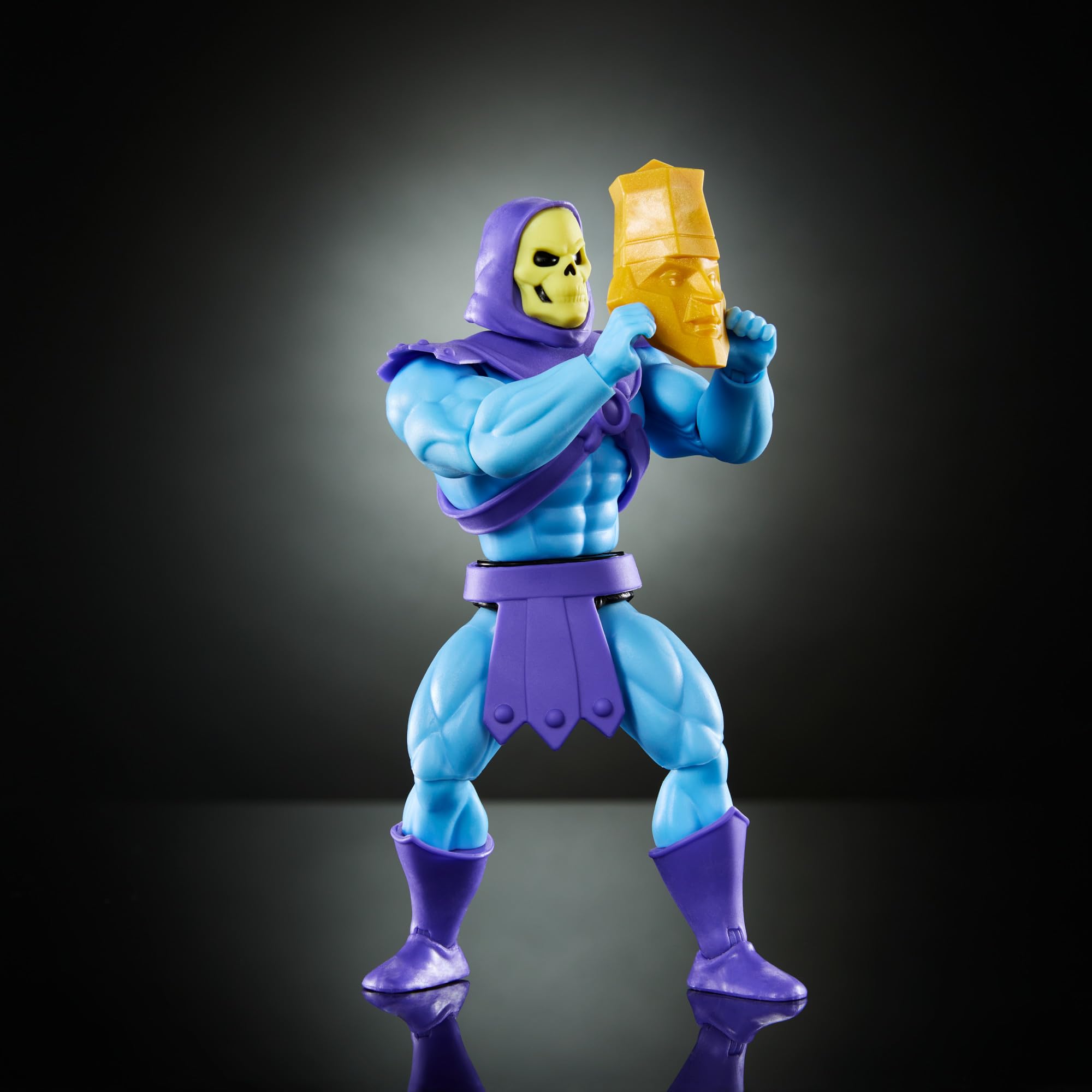 Masters of the Universe Origins - Evil-Lyn Collezione Cartoon, action figure articolata alta 14+ cm, con armatura, bacchetta e scettro inclusi, giocattolo per bambini, 6+ anni, HYD35