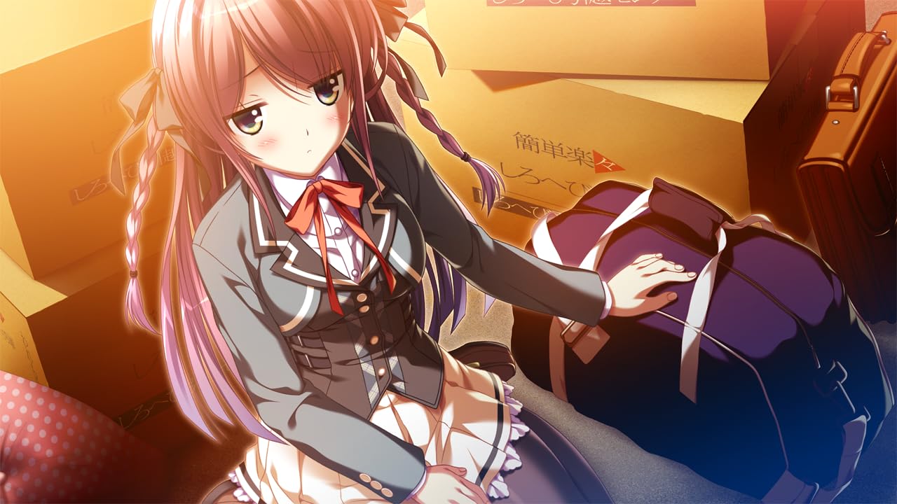 罪ノ光ランデヴー 完全生産限定版 -PS4 【特典】アクリルオーナメント 同梱