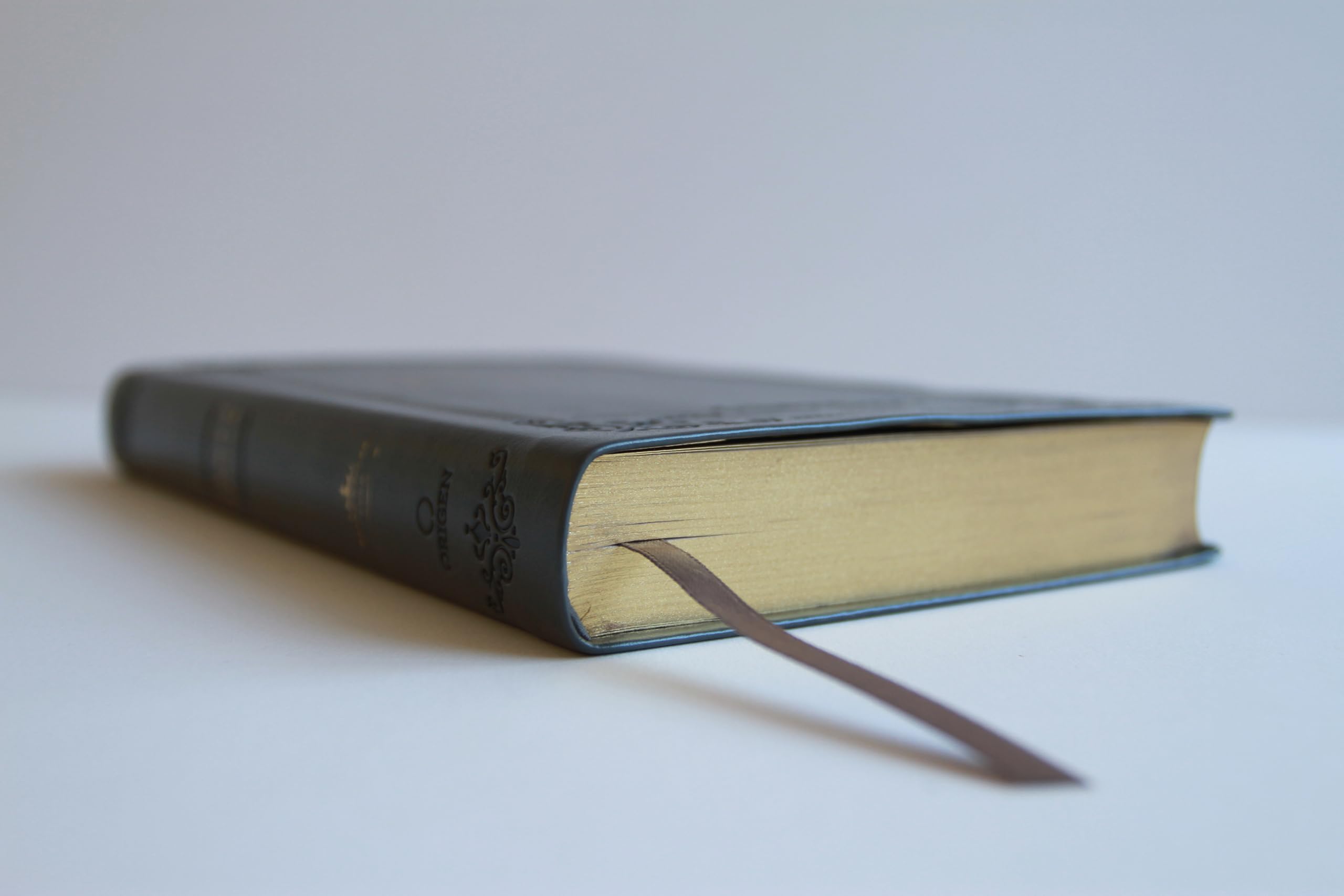 Biblia RVR 1960 letra grande tamaño manual, Piel gris con índice / Spanish Bible RVR 1960 Handy Size Large Print Leathersoft Gray with index