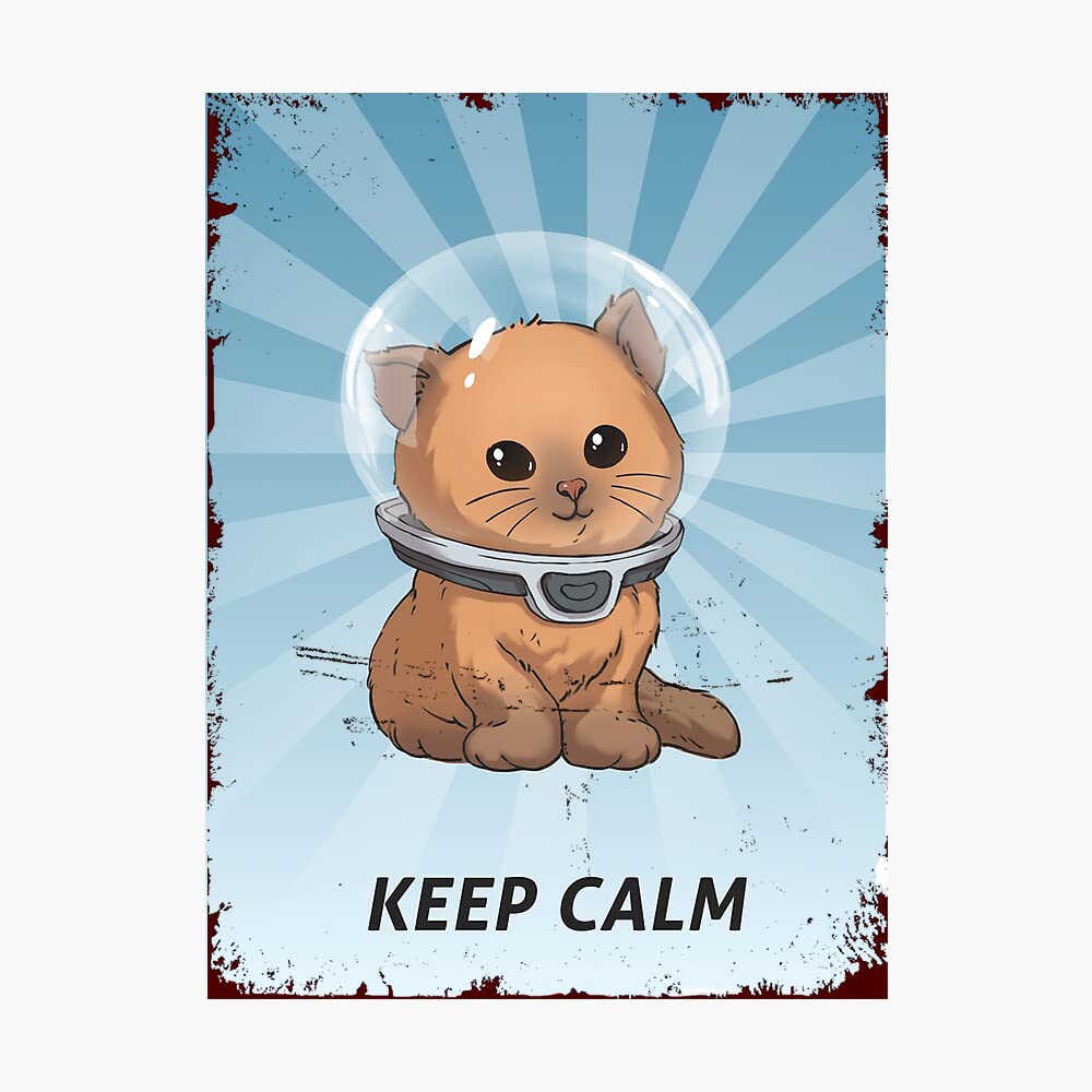 Matlpats Keep Calm Kitty Vintage Funny Home Decor Tin Sign Retro Metal Bar Pub Poster 6X8 Inch