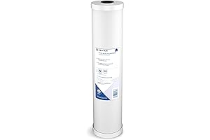 Pentair Pentek RFC-20BB Big Blue Carbon Water Filter: A Surefire Path to Pristine Water