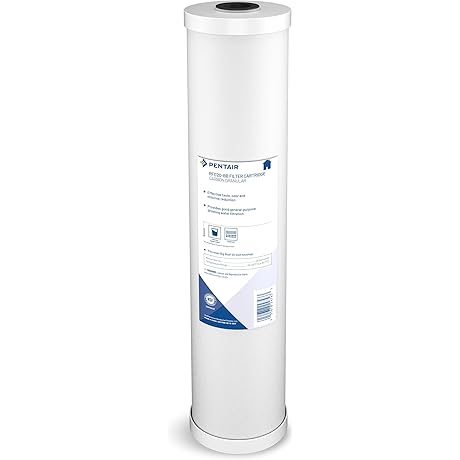 Pentair Pentek RFC-20BB Big Blue Carbon Water Filter: A Surefire Path to Pristine Water