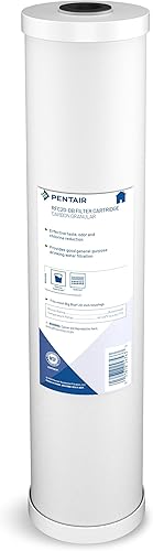 Miniatura 7 de Pentair Pentek RFC-BB - Filtro de agua de carbono azul grande, 10 pulgadas, cartucho de repuesto de carbono de flujo radial resistente para toda la