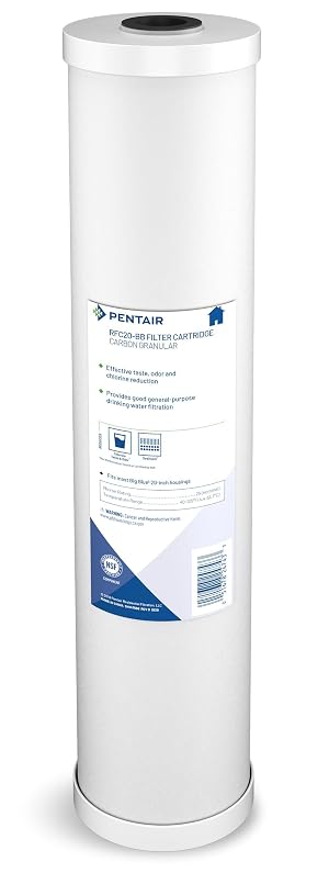 Pentair Pentek RFC-20BB Big Blue Carbon Water Filter 20-Inch Whole House Heavy Duty Radial Flow Carbon Replacement Cartridge