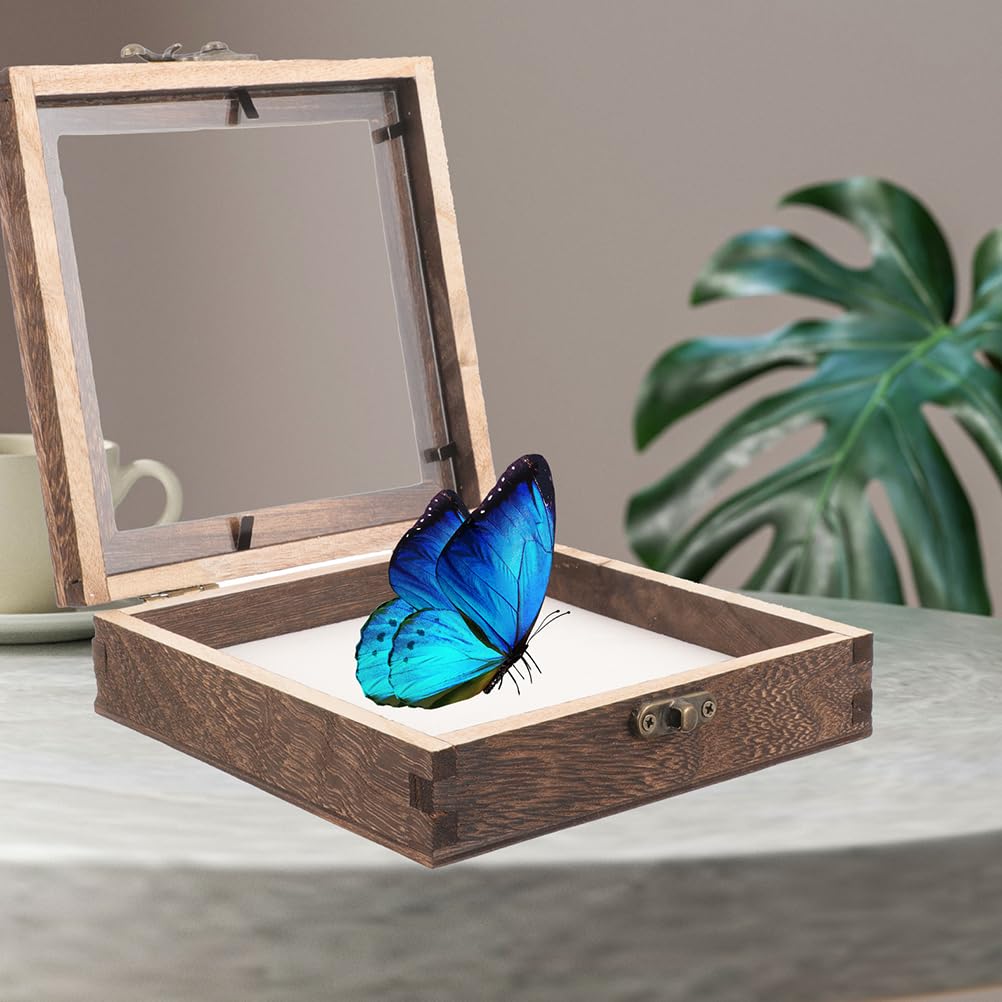 STOBAZA Vetrina in legno per campioni di insetti con coperchio trasparente, 10 x 10 x 4 cm, espositore compatto per la presentazione di farfalle e campioni di piante