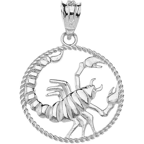 Exquisite 925 Sterling Silver Round Zodiac Sign Horoscope Constellation Rope-Style Charm Pendant