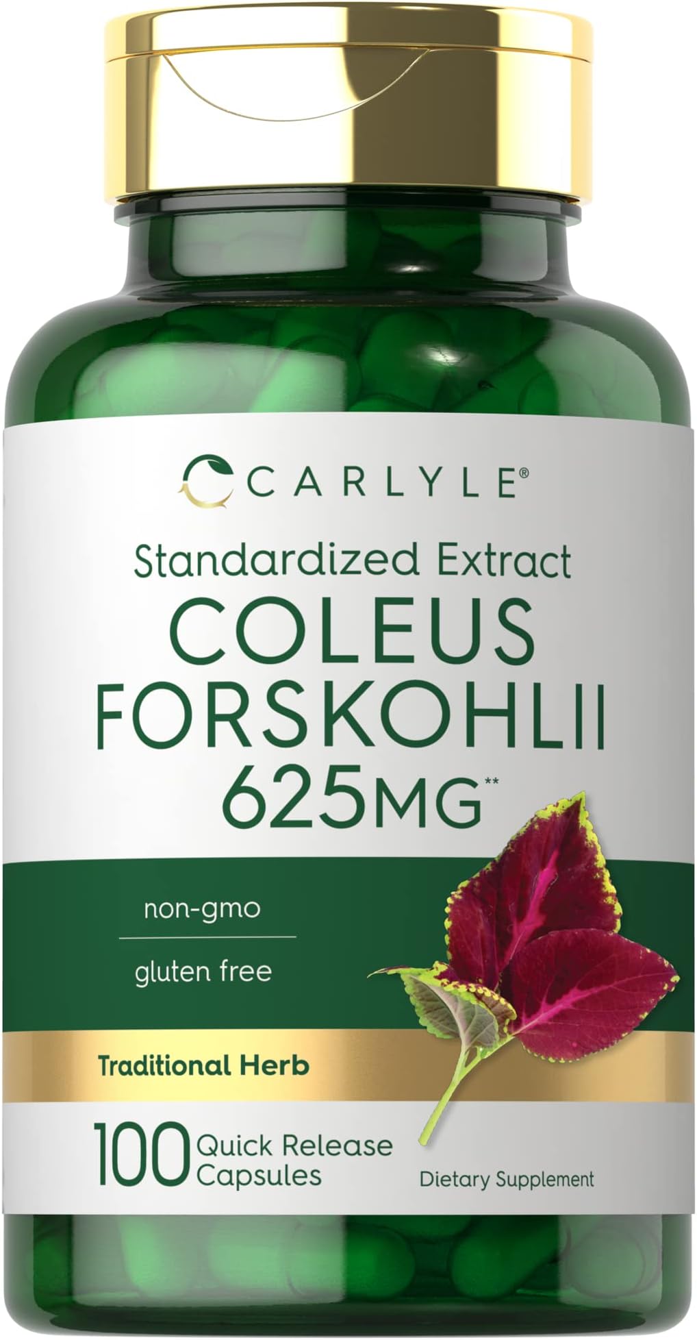 Carlyle Coleus Forskohlii Capsules | 100 Count | Non-GMO & Gluten Free Standardized Extract | Forskolin Supplement