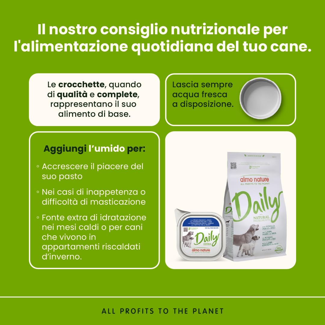 Almo Nature Daily, Alimento Umido per Cani Adulti con Pesce Bianco e Riso - 100g, Confezione da 32