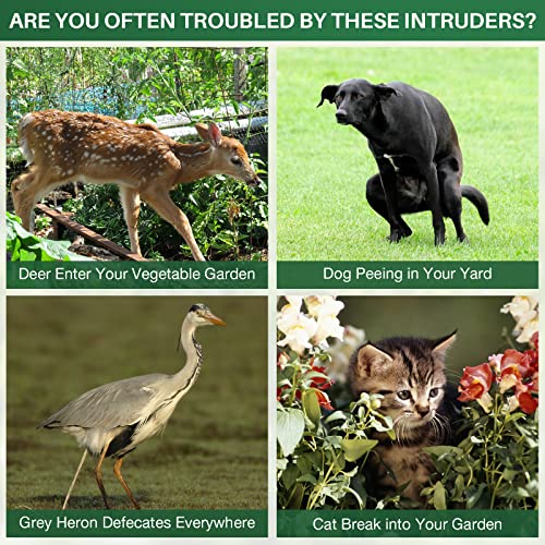 Hianifri Solar Animal Repeller Outdoor,2024 Upgrade Cat Repeller Outdoor,Ultrasonic Squirrels Repellent Waterproof Dog Repeller,Deer Repellent Devices With Motion Sensor And Flashing Lights For Yard Garden thumb #3