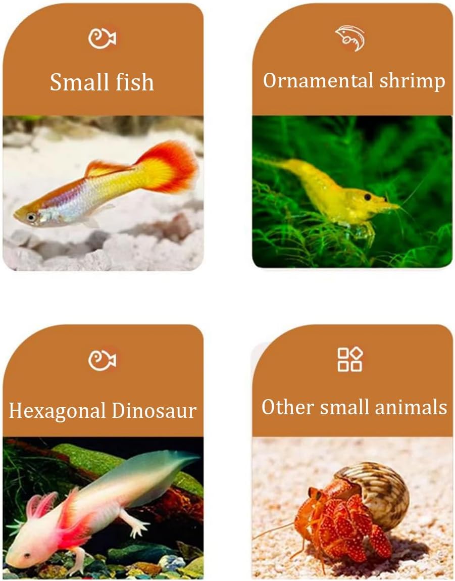 Aquarium，Classic Aquarium Fish Tank， Extra Clear Plastic Case - Aquarium Tank for Goldfish Or As A Turtle Tank for Water Turtles with Bottom Drainage Hole,Large