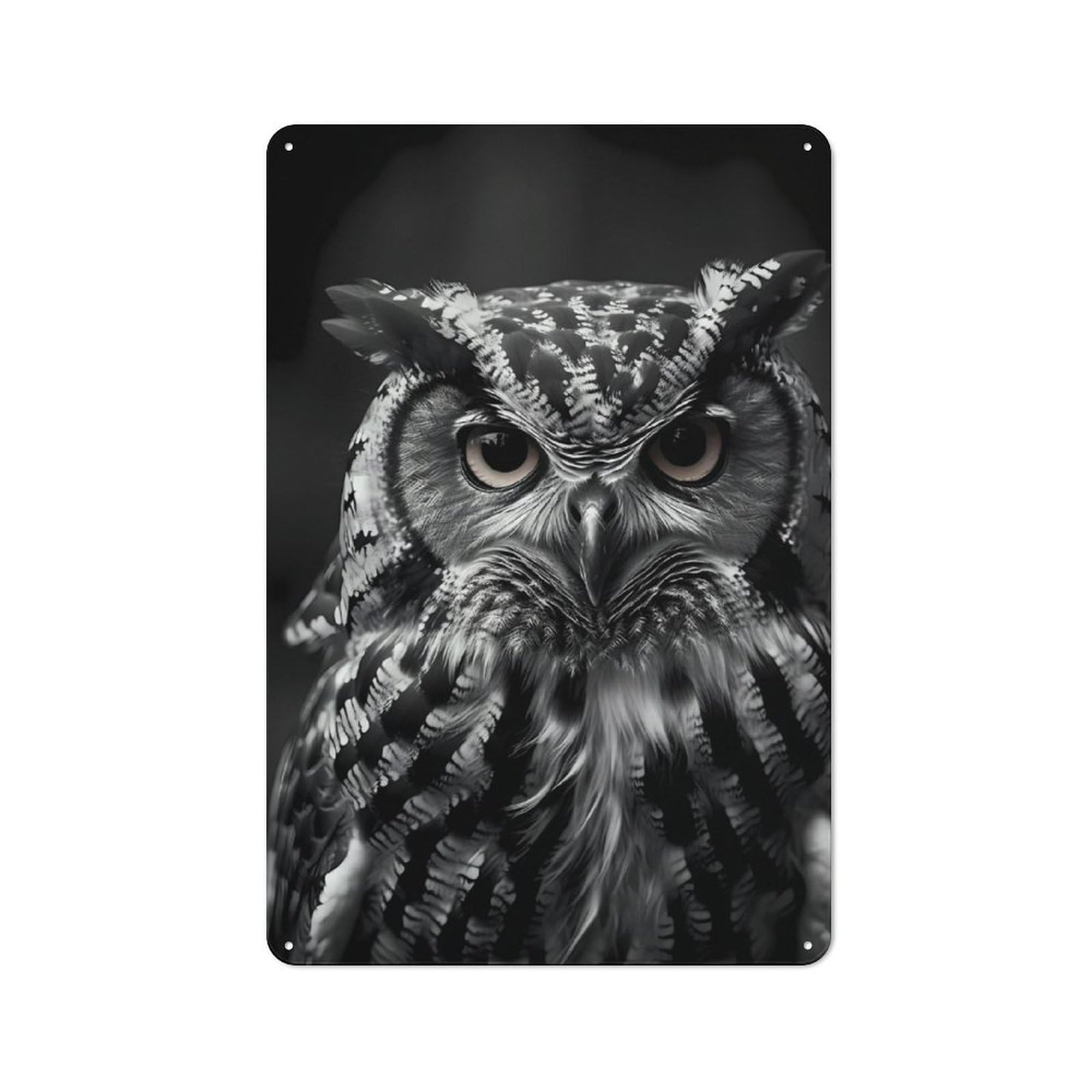 Junmoney Owl Bird Rustic Tin Sign 30X20cm For Garden Room Or Summerhouse, New-Space Wall Decor For Garden Room Decor Fans