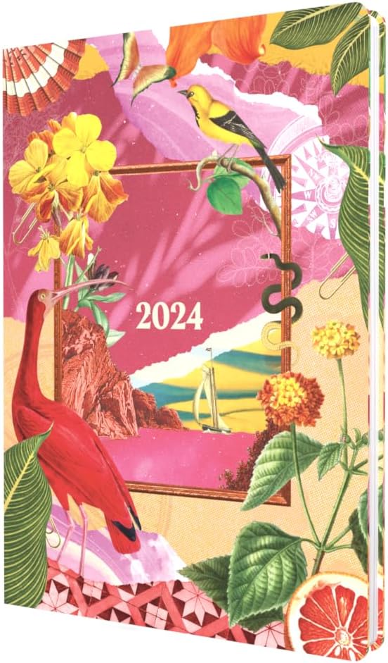 Collins Maxilmalism 2024 Diary A5 Week To View Diary - Business Planner and Organiser - January to December 2024 Diary - Weekly - Yellow/Pink - MX153.45-24