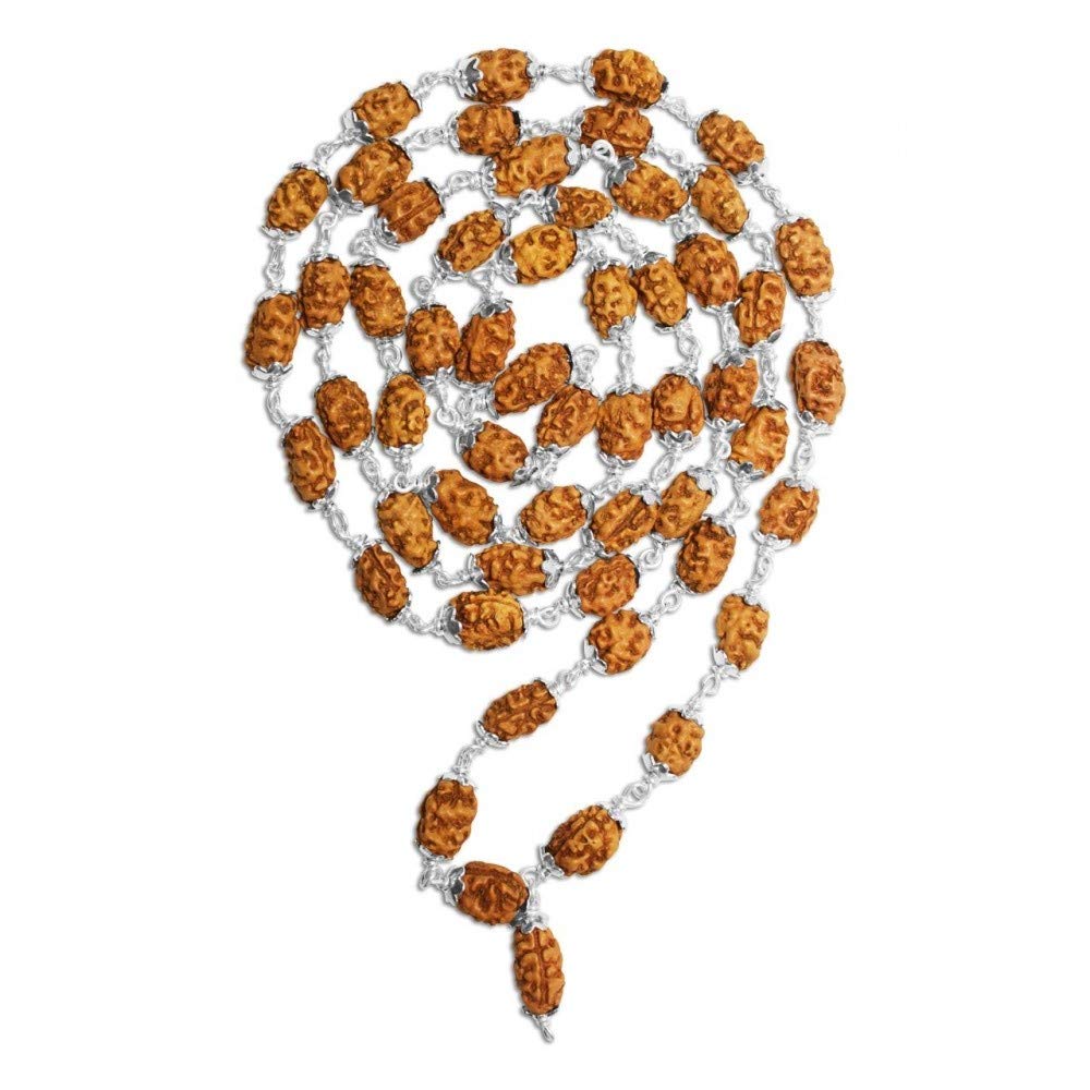 Mala Rudraksha 2 Mukhi indonésien pour harmoniser vos séances de yoga et de méditation