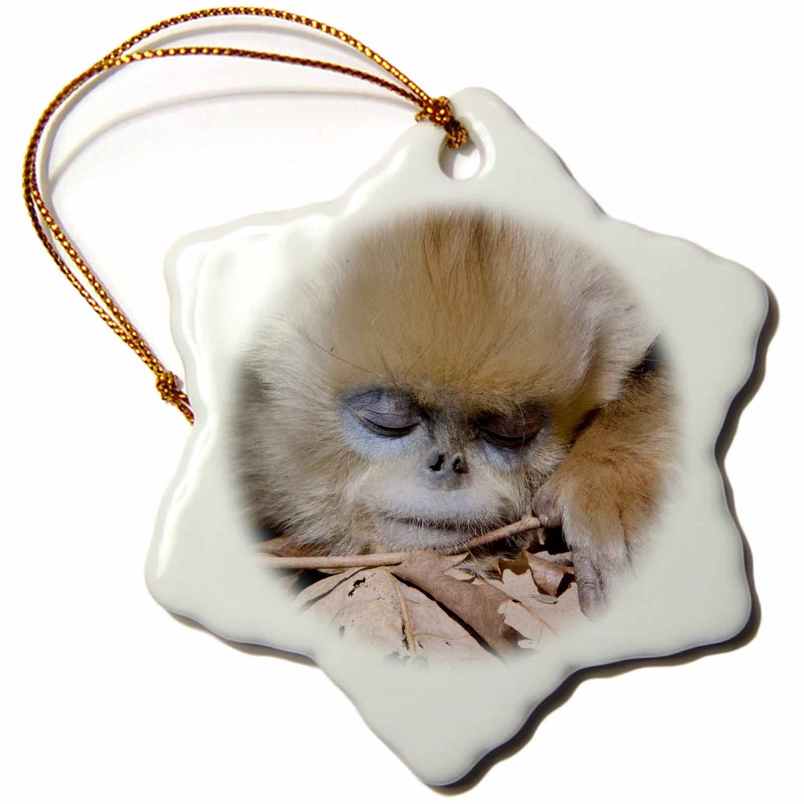 3 inch Snowflake Porcelain Ornament - China, Qinling Mountains, Golden Monkey Sleeping - AS07 AGA0032 - Alice Garland Monkeys